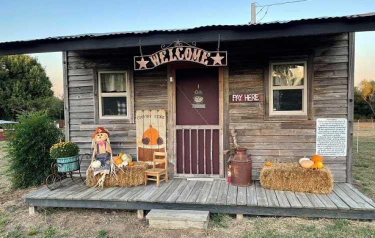 Photo 2 of Country Bumpkin Pumpkin Patch & More (click here for days & hours).