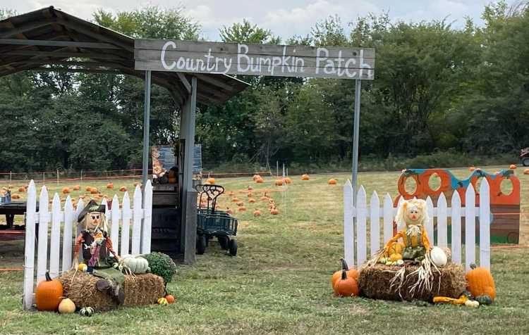 Photo 3 of Country Bumpkin Pumpkin Patch & More (click here for days & hours).