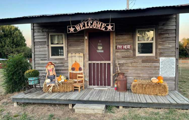 country-bumpkin-pumpkin-patch-see-details-for-times-event