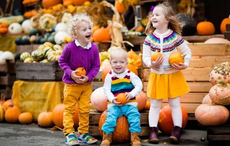 Photo 1 of Oklahoma Heritage Farm Festival & Pumpkin Patch (click here for days & hours).