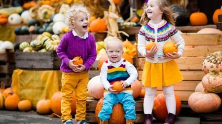 Photo of Oklahoma Heritage Farm Festival & Pumpkin Patch (click here for days & hours).